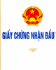 Giấy chứng nhận đầu tư mới
